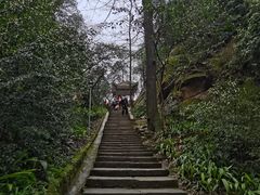 -缙云山景区