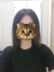 -镁连社·美联社