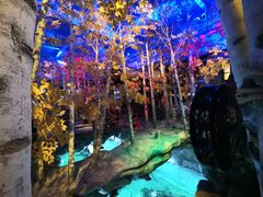 -华夏文旅海洋公园