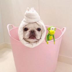 -飛凡TATTOO纹身•原创