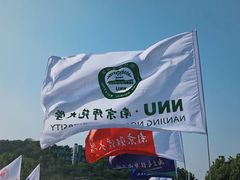 -羊山湖公园