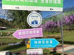-关山草原