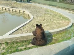 -上海野生动物园