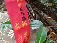 -修水东浒寨风景区