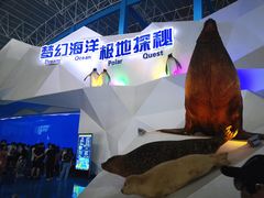 -泉城欧乐堡海洋极地世界