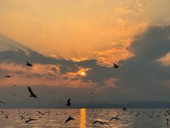 -捞渔河湿地公园