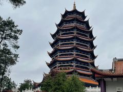 -铁山坪森林公园