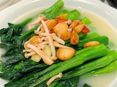 泉水浸养生时蔬-虾饺妹·酒家(金碧店)