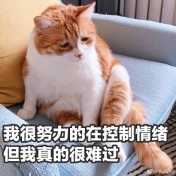 -adidas(德基广场店)