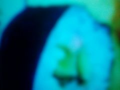 -锦亭料理