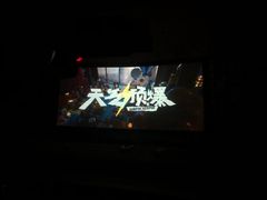 -枫花园汽车电影院(朝阳公园店)