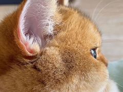 -文三酒肆自助放题(新街口友谊广场店)