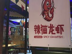 -辣猫龙虾(马泉营店)
