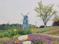 -铁山坪森林公园