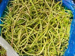 -科巷菜场