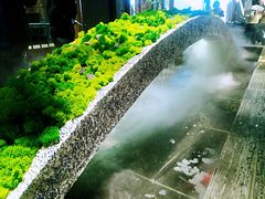 景观位-湊湊火锅·茶憩(石家庄万象城店)