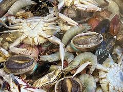 -富临港·蒸汽海鲜·手抓海鲜·炒菜(栈桥店)