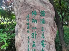 -洛阳市隋唐城遗址植物园