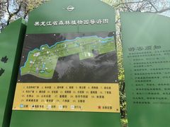 -黑龙江省森林植物园