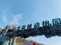 -大连森林动物园