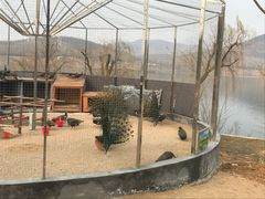 -松月湖大酒店