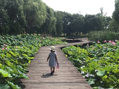 -梁鸿国家湿地公园