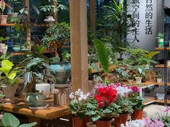 -瑞虹新天地月亮湾