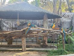 -清迈夜间动物园