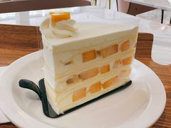 -夏佐CHASEL(横店康庄路店)