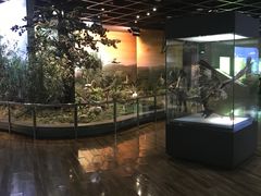 -陕西自然博物馆