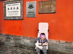 -北京国子监胡同