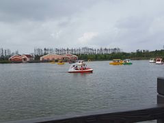 -上海长兴岛郊野公园