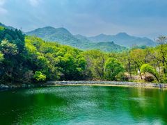 -阳台山自然风景区