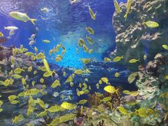 -海合安成都极地海洋公园