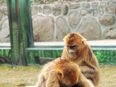 -西安秦岭野生动物园