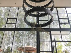 -桉树林A coffee 森林餐厅(三圣乡店)