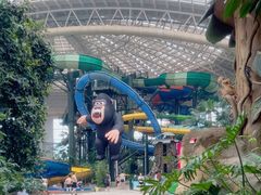 -杭州开元森泊度假乐园