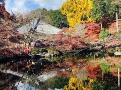 -醍醐寺