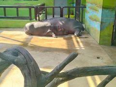 -大连森林动物园