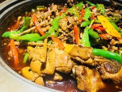 -猫头婴小酒馆FUN OWL(1912店)