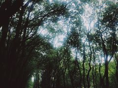 -同里国家湿地公园