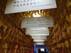 -上海外滩星空失恋减压馆(外滩旗舰馆)
