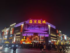 -中街·盛京龙城