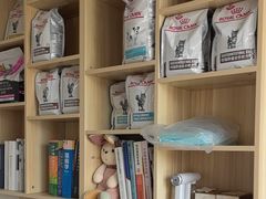 -瑞派宠物医院·CT影像中心·猫友好医院(奥城店)