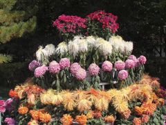 -青藏高原野生动物园