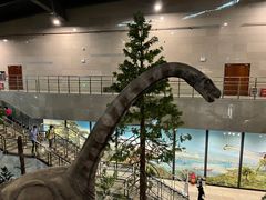 -湖南省地质博物馆