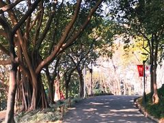 -广州雕塑公园