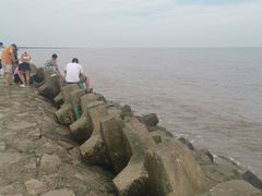 -南汇嘴观海公园