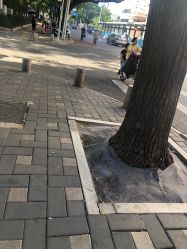 -欧扬医疗美容