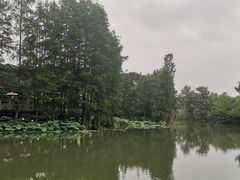 -冶春茶社(平山堂店)